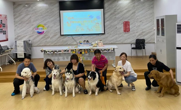 打造文明养犬美好社区，杨浦有妙招