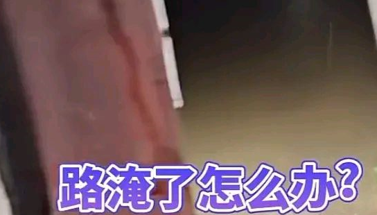 广东惠州路面积水男子不敢开车过去，小狗勇敢探路，叫主人快过来
