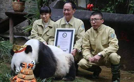 四川农民意外救下一只落水大熊猫，后来，熊猫活了37岁，甚至还登过春晚舞台