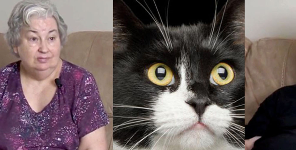 猫咪也会救人，猫救了一对夫妇，让他们免受一氧化碳中毒