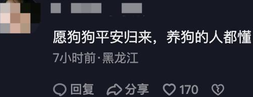 边牧走失，主人带狗妈狗崽摆摊找狗，网友：你不要老婆孩子了吗？