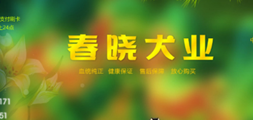 上海一狗舍被指频卖病狗：多个马甲网站营销百度称点1次1元