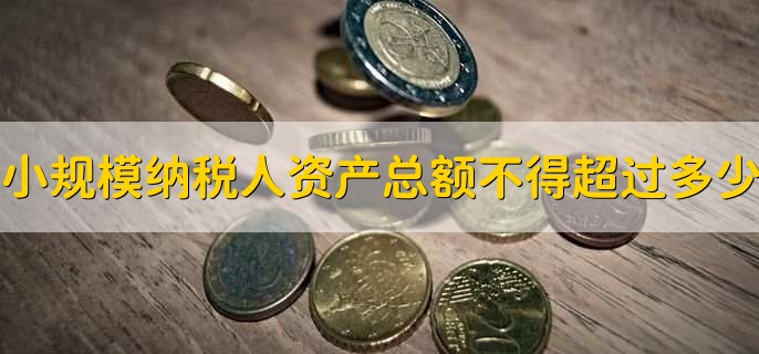 小规模纳税人资产总额不得超过多少，主要取决于年应税销售额