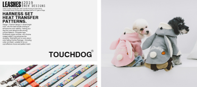 它经济尚处蓝海，宠物用品品牌「Touchdog它它」获数千万元 Pre-A 轮融资