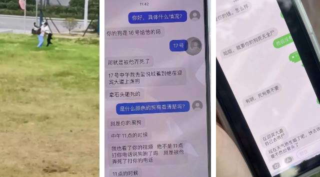 死在恶魔手上的小柯基：四肢被掰断，脖子被钥匙戳穿