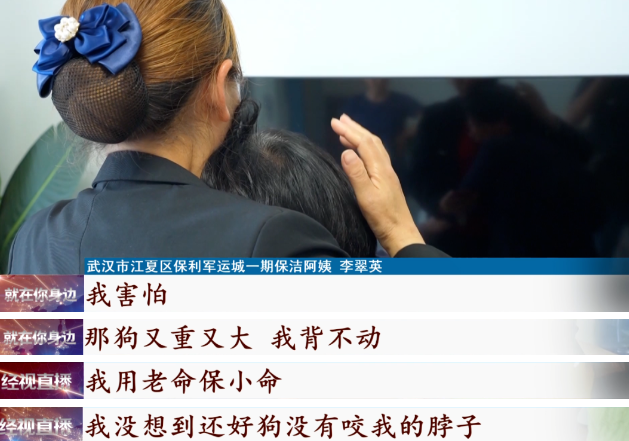“用老命保小命”，她挺身而出感动全网！但是，狗绳咋就拴不住？