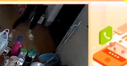 送货被客户的宠物狗咬伤拒绝，对小哥的索赔也被拒绝，听了顾客的
