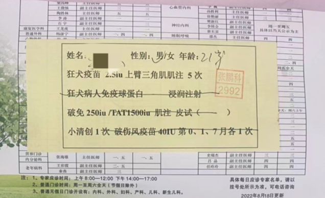 流浪猫饭店内抓伤人，责任究竟谁来担？