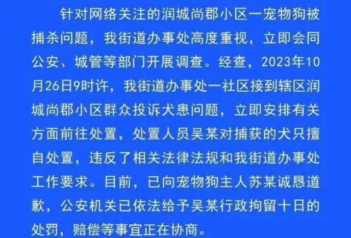 安徽宠物犬遭捕狗队擅自抓走宰杀，官方通报：处置人员行拘