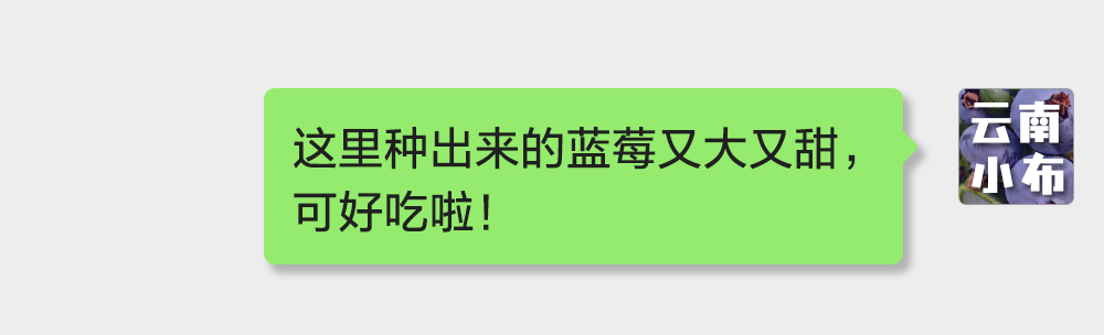 海味与果味，你更爱哪一味？