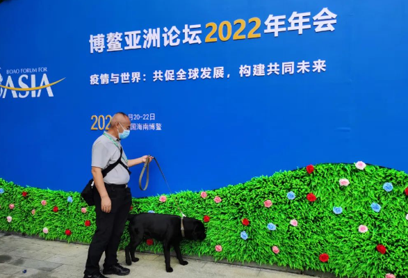起床！出警啦！警犬知识问答！关于警犬，你想知道的都在这里！