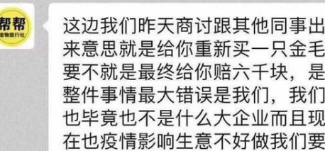 “金毛Siri”去世原因曝光，陈乔恩、徐冬冬发声，托运方态度嚣张