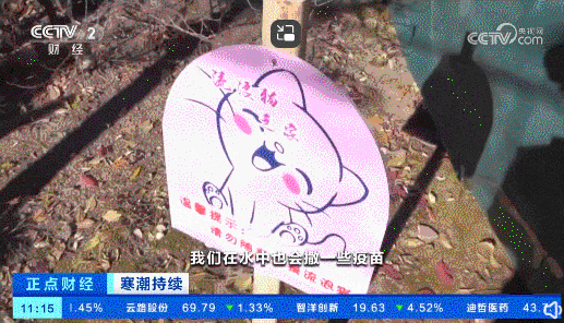 央视报道公园给流浪猫建御寒小屋，还提供水和粮，反被嘲：那被抓伤就起诉公园赔！