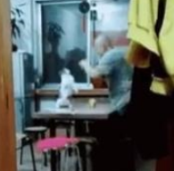 自从家里养了猫，老父亲的娱乐活动就成了跟猫对打！并且乐此不疲