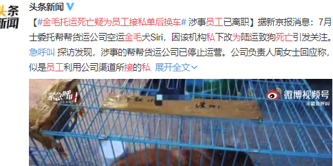 金毛Siri在托运过程中死亡，涉事公司：员工接私单后换车，已离职