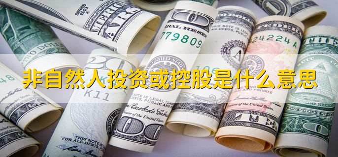 非自然人投资或控股是什么意思,投资与融资有什么区别