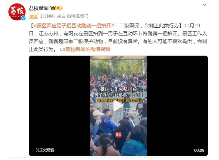 景区回应男子把互动鹦鹉一把拍开：鹦鹉是“二级国保”，会制止此类行为