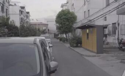 上海青浦遛狗纠纷致死案：失控的大学生与为养女出头的父亲