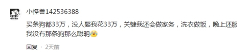 33万“天价”警犬竟然长这样？网友：都没人花33万娶我