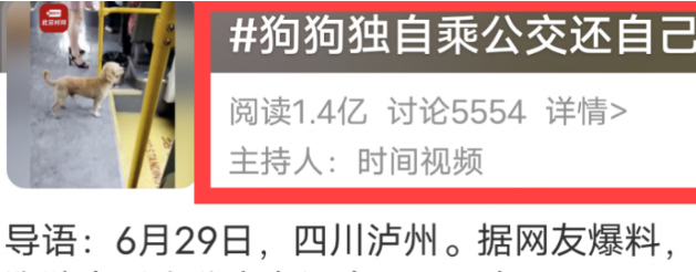 狗狗抢路人滑板、独自乘坐公交车，网友：成精了 