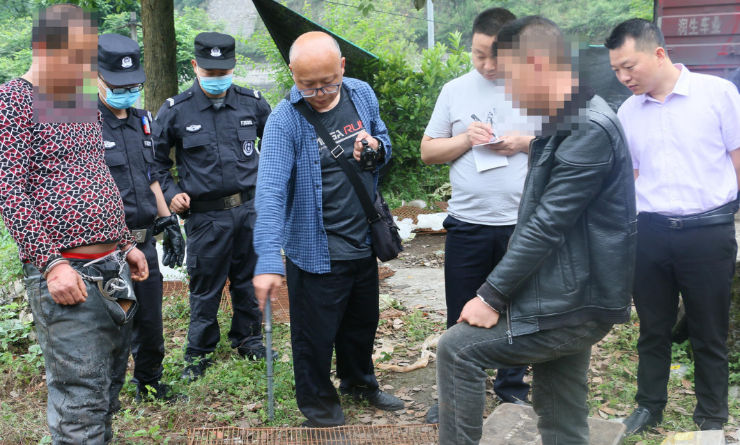 四名男子捉麻雀作饵诱捕“流浪猫”，均犯非法狩猎罪获刑