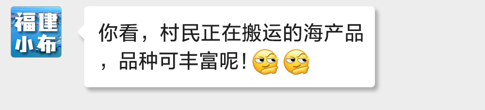 海味与果味，你更爱哪一味？