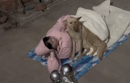 姑娘被催相亲，一气之下在院子里铺被子睡觉，狗：你真是单身狗！