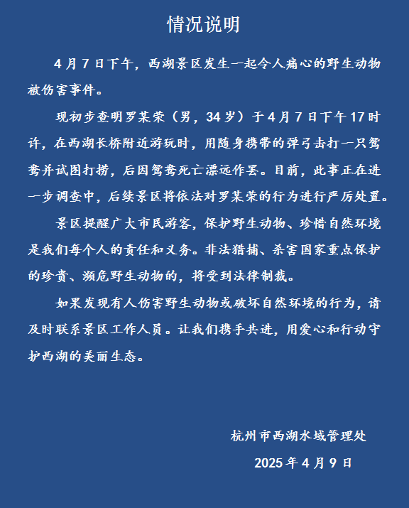 打死西湖鸳鸯的人已找到，为何总有人跟鸟过不去？