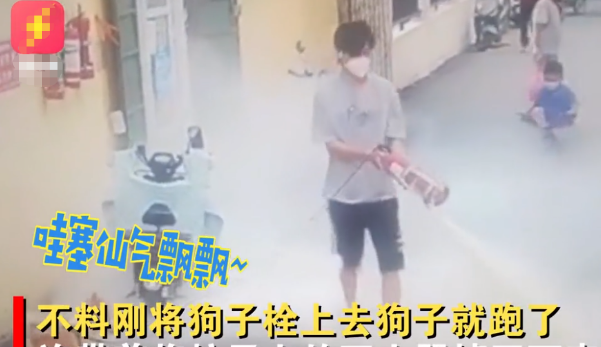 河南一男子把狗拴灭火器上，不料灭火器砸地上，狗子和路人都懵了