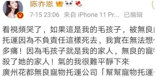 金毛Siri托运途中死亡！监管部门介入调查