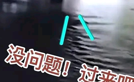 广东惠州路面积水男子不敢开车过去，小狗勇敢探路，叫主人快过来