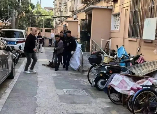 上海特警上门抓瘫痪犬引争议，知情人：狗是警犬主人不牵绳导致
