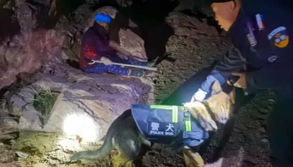 警犬搜寻，民警3小时找到失联老人