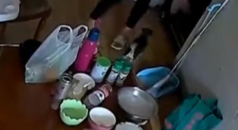送货被客户的宠物狗咬伤拒绝，对小哥的索赔也被拒绝，听了顾客的