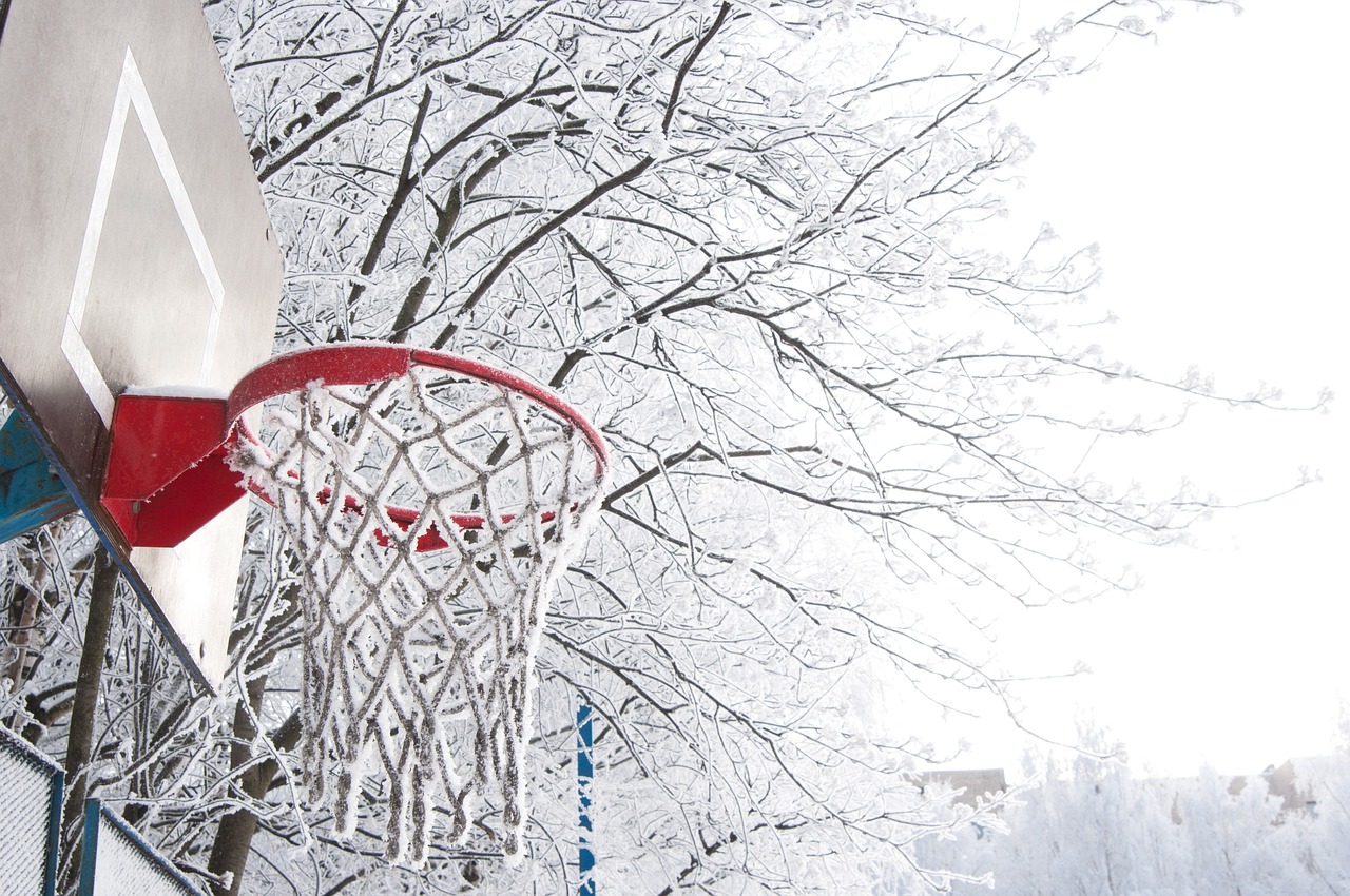 东北冬日奇遇记——奇闻异事录有声小说系列，雪域深处的神秘故事