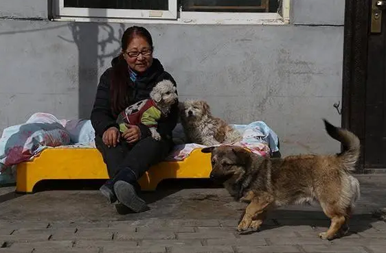 卖房救狗！福州大姐救狗13年，每月被咬10多次无怨无悔 