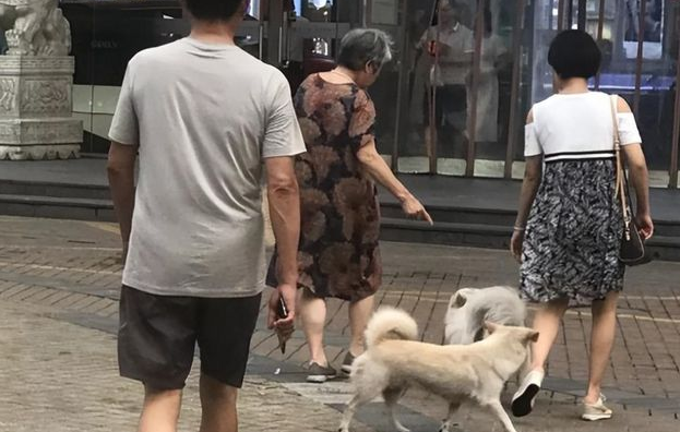 “又不尿你屋里！”大妈遛狗不拴绳，路人指责狗乱撒尿被大妈怒怼 