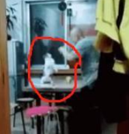 自从家里养了猫，老父亲的娱乐活动就成了跟猫对打！并且乐此不疲