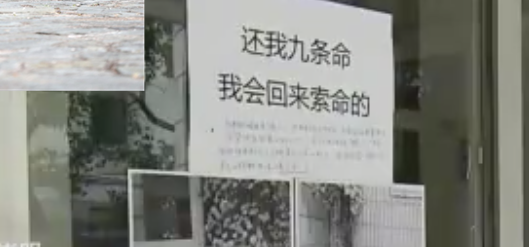 外卖员2棍打死流浪猫，居民气愤报警，男子：跟老婆吵架了想发泄