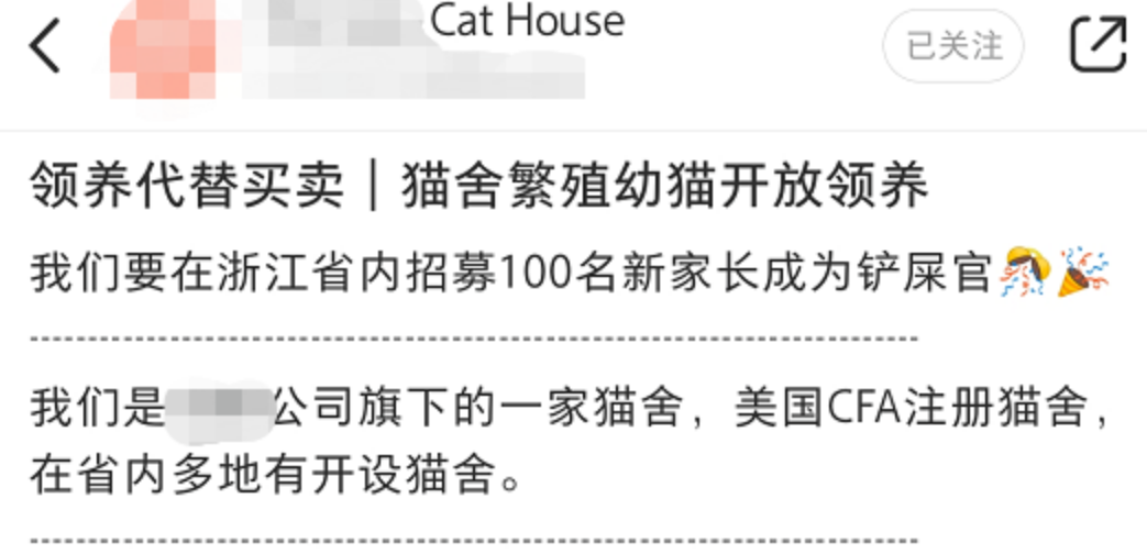 猫咪新领养方式引争议：被指做猫子宫生意，宠物或成生育工具