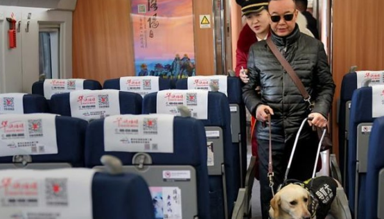 导盲犬乘车，也需理解与包容