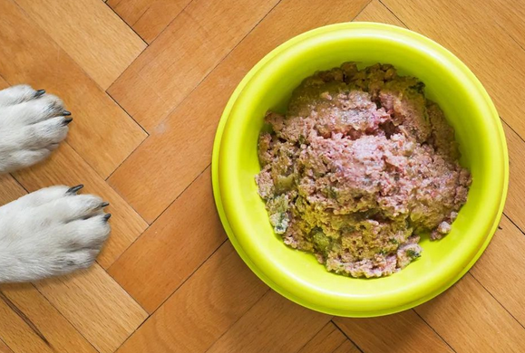 即将落地的欧盟宠物有机食品新规，对市场将有何影响？