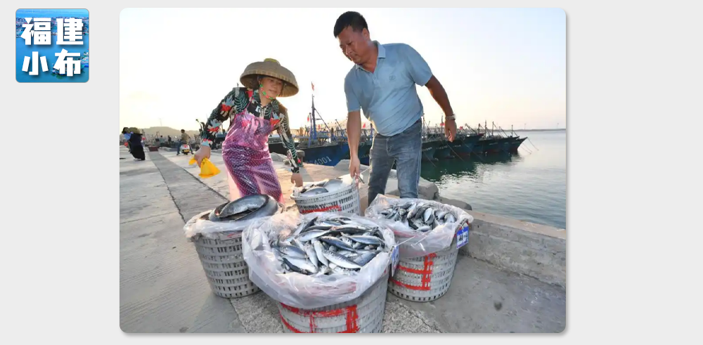 海味与果味，你更爱哪一味？