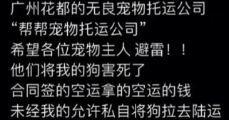 “金毛Siri”去世原因曝光，陈乔恩、徐冬冬发声，托运方态度嚣张