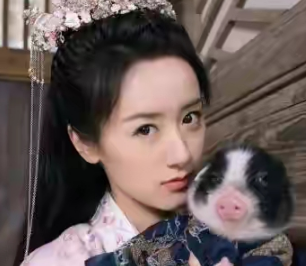 女星宠物猪走丢，助理寻找却与路人爆发冲突