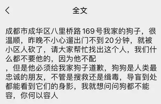 金毛溜出门被砍伤！主人“寻凶”：如果咬你了 我愿意道歉