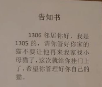 猫咪找小母猫被挂门把手上，网友：铲屎官嫉妒猫咪有对象自己没有
