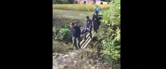 警犬立功了，阿尔茨海默病老人失联48小时后被平安找回 ！