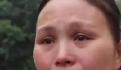 小区一夜被毒死4只狗，悬赏万元缉凶，养狗人士，请牵好你的绳子