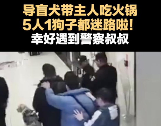导盲犬带主人吃火锅，5人1狗全迷路